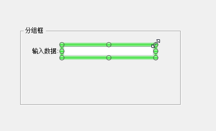 調(diào)整BarTender中的數(shù)據(jù)輸入表單中的對象大小
